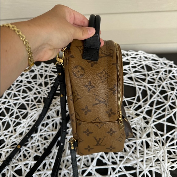 Louis Vuitton Reverse Palm Springs Mini Backpack - Picture 5 of 8
